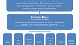 Organisation / Struktur